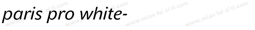 paris pro white字体转换